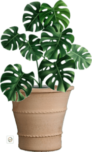 Original Griechische Terracotta "Andreas"