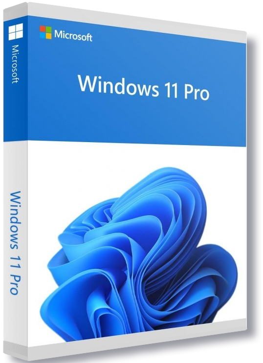 Windows 11 Pro